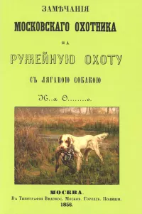 Тест