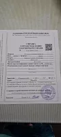 Русский  охотничий  спаниэль 