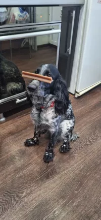 Нэльма
