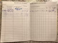 Подращенные щенки эстонской гончей