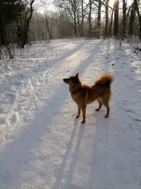 Джульетта Кетта (Жуля) 